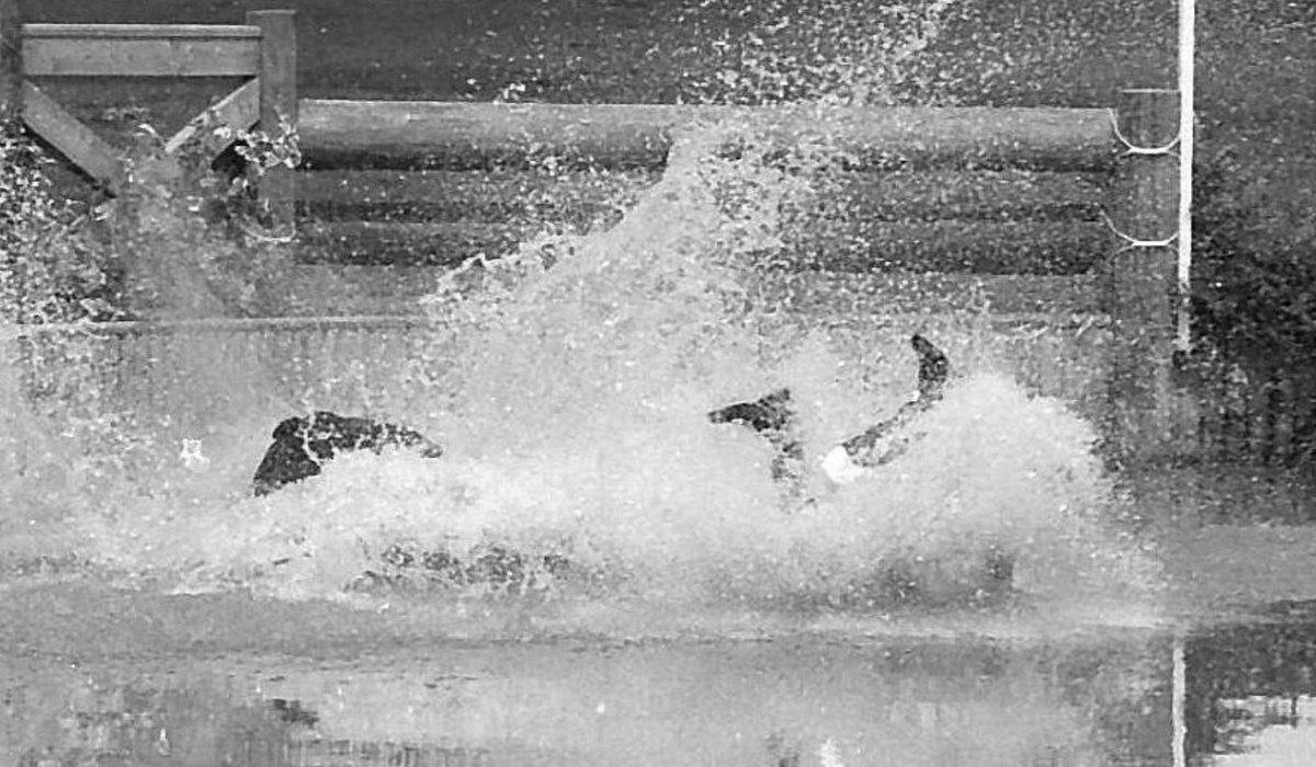 Equestrian - Eventing: The Complete Guide